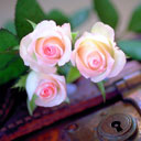 ���ͼƬ�Ŵ�